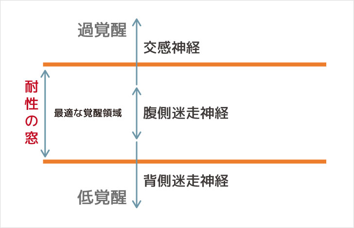 ポリヴェーガル理論の分類