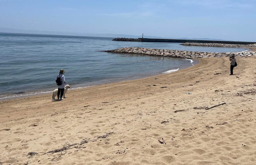 中井まゆみ先生のメルモとの散歩風景