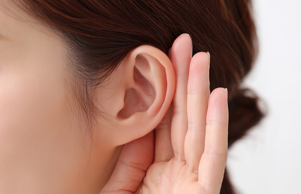 女性の耳の画像