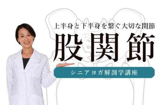 Miwa先生のシニアヨガ解剖学股関節編