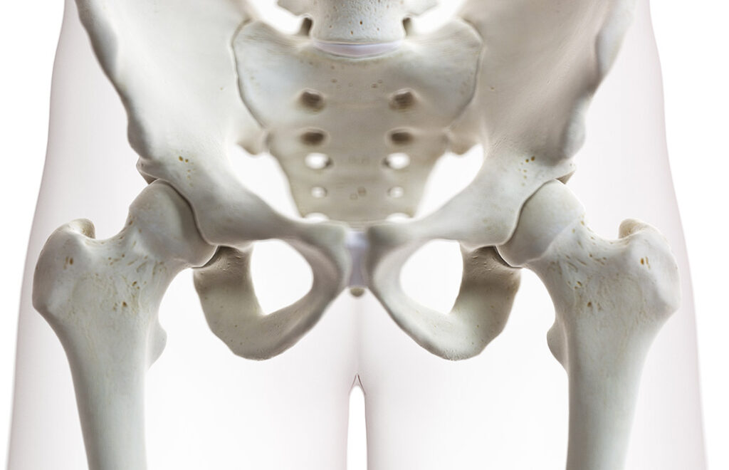 股関節