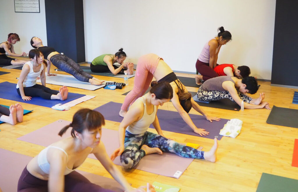 ヨーコ・フジワラのマイソール指導