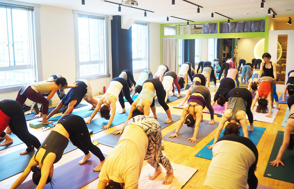 ヨーコ・フジワラのアシュタンガヨガレッドクラス